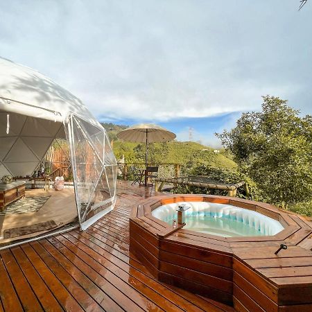 Hotel Nazca Glamping Villamaría Exteriér fotografie